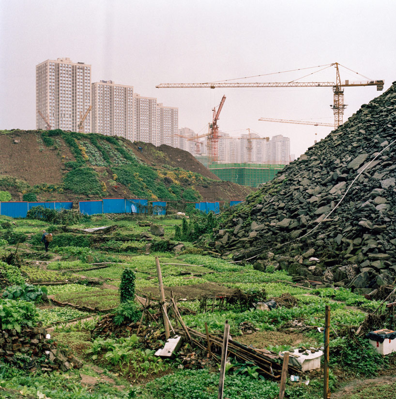 china paves the way for a new definition of urban farming - 6