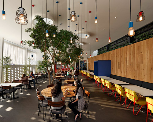solis colomer overhauls guatemala chain and builds la crepe kitchen
