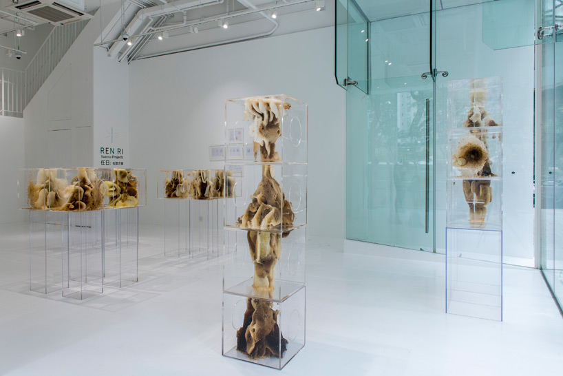 ren ri beeswax sculptures pearl lam galleries designboom 