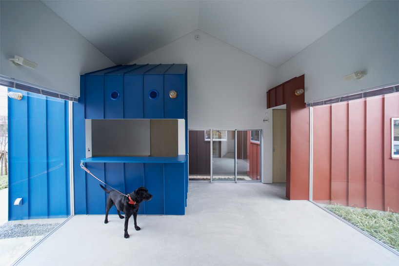 roote architects yui animal hospital kinokawa japan designboom