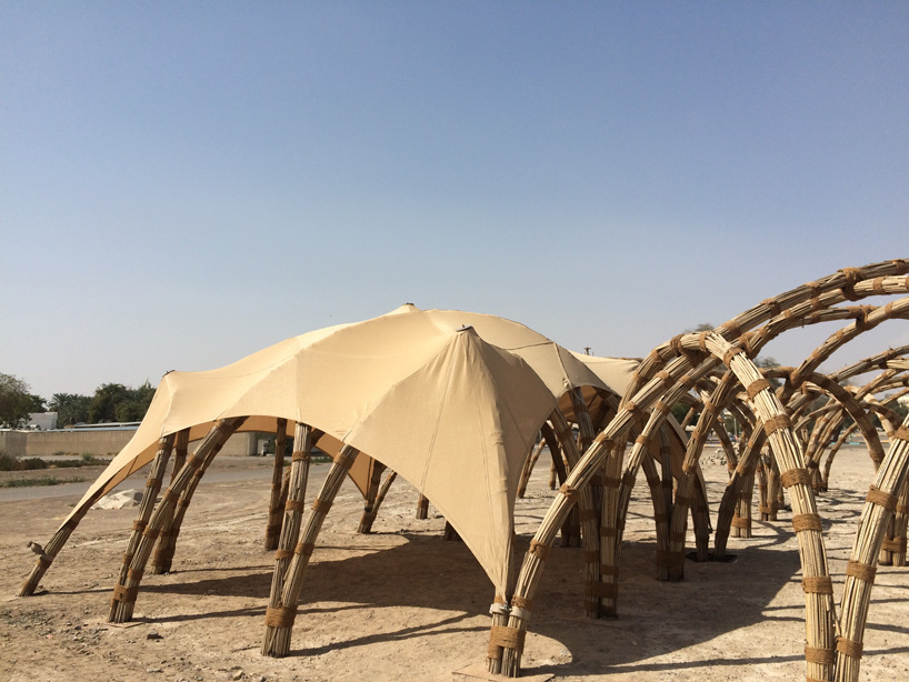 sandra piesik 3 ideas ltd food shelter al ain unesco world heritage site designboom