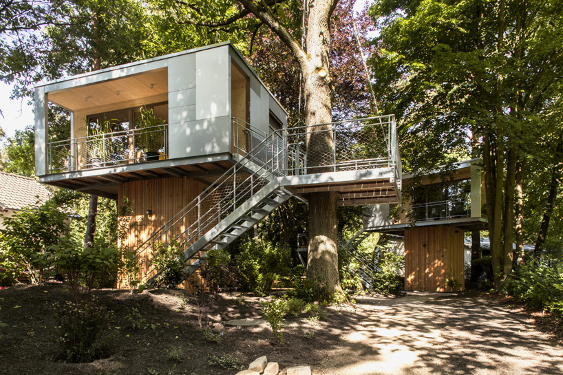 baumraum urban treehouse berlin zehlendorf germany designboom