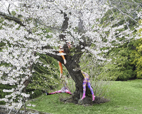 carmel snow uses surreal environments to present cultural camouflage