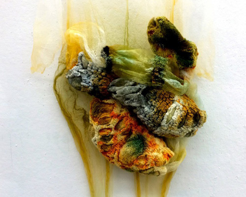 chloe cooper explores the future of clothing with adaptive skin suits