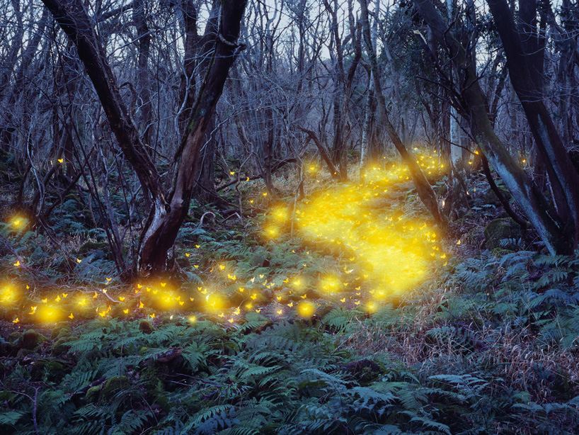 lee-jeong-lok-light-painting-designboom-11