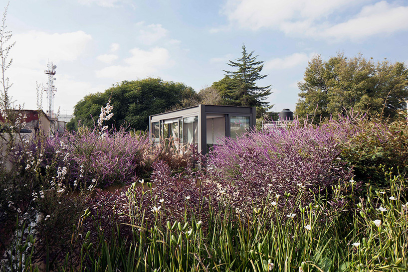 andres stebelski as arquitecto house with four courtyards mexico city designboom