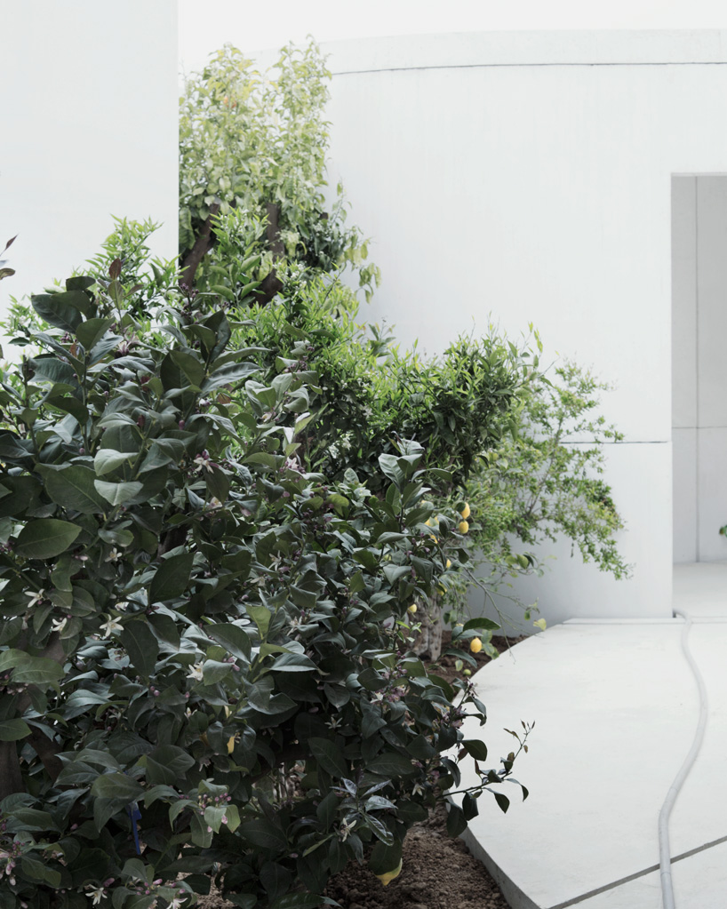 bahrain pavilion expo milan 2015 archaeologies of green anne holtrop designboom