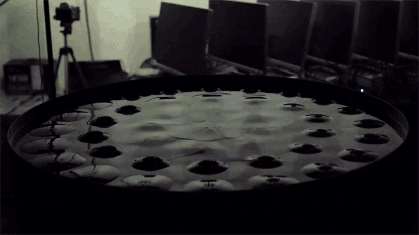 predator gaming acer sid lee magnetic ferrofluid installation