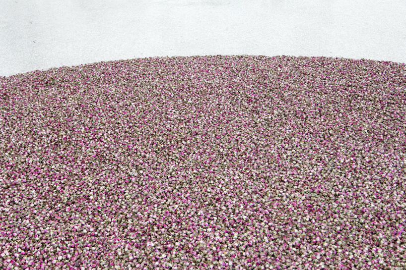 dutch pavilion venice art biennale herman de vries