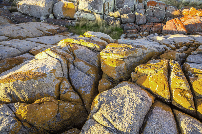 dana barnes endolith casts collective design new york design week