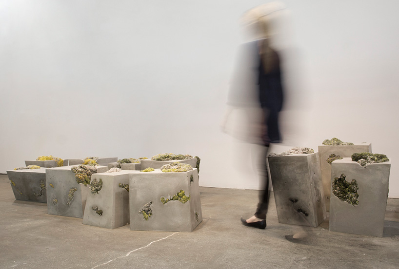 dana barnes endolith casts collective design new york design week