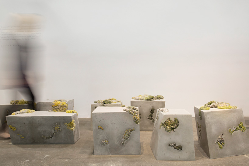 dana barnes endolith casts collective design new york design week