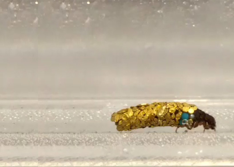 hubert-duprat-venice-art-biennale-designboom-06