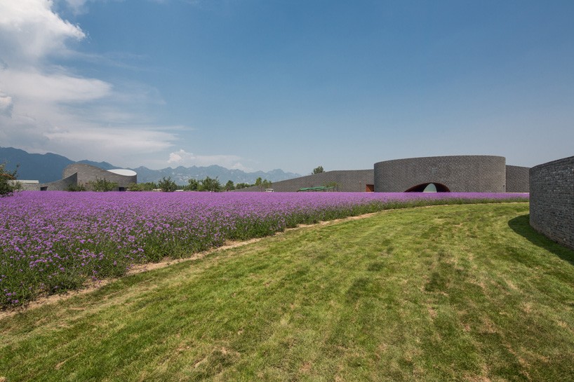 archea associati yanqing grape expo china designboom