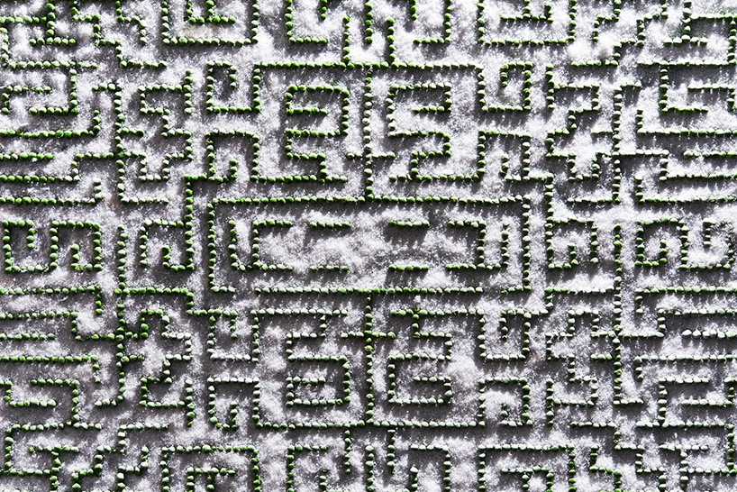 davide luciano claudia ficca the shining food art