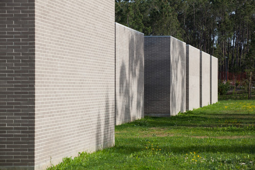miguel marcelino fonte de angeao school vagos portugal
