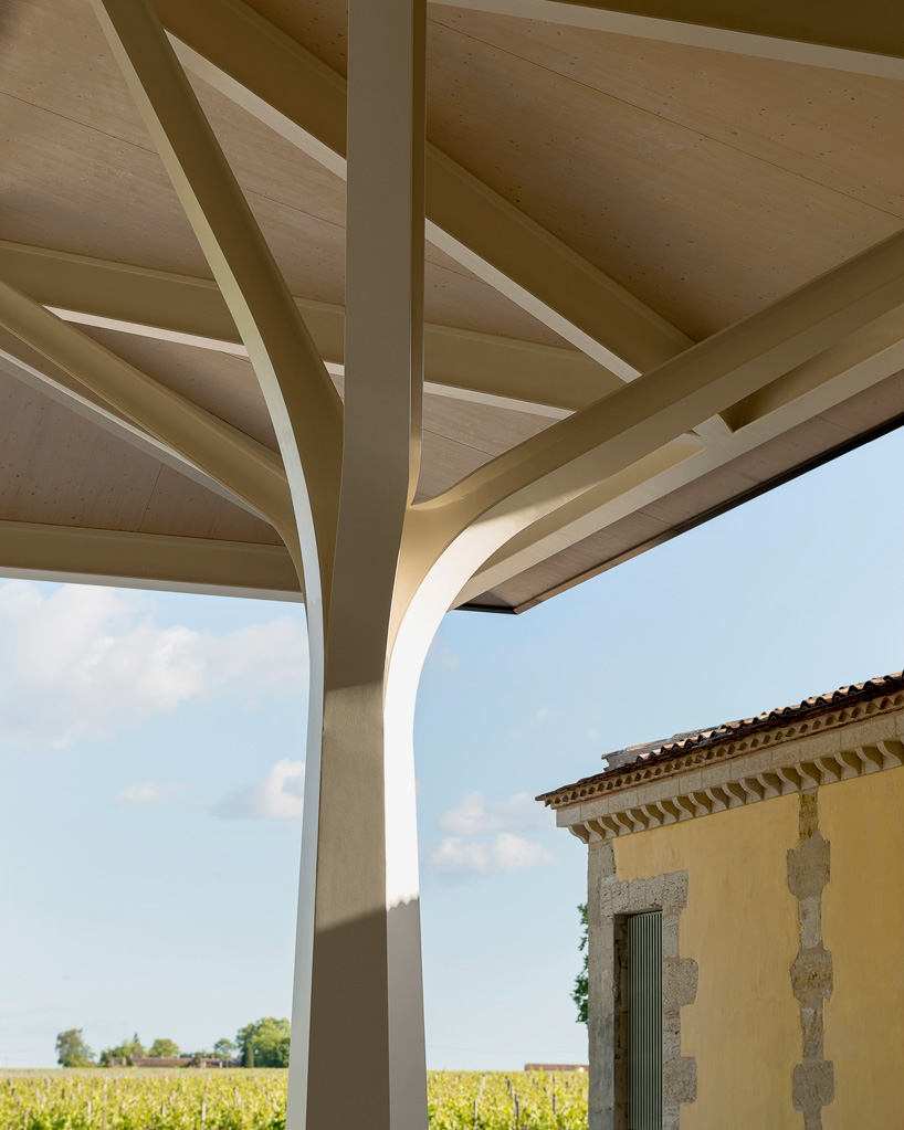 norman foster partners new winery chateau margaux nouveau chai vineyard designboom