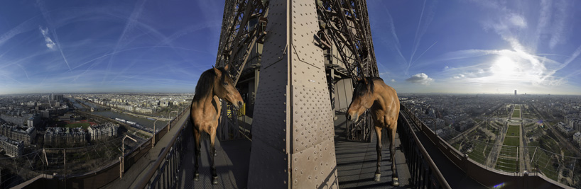 yee-haw: paola pivi brings four horses to the eiffel tower