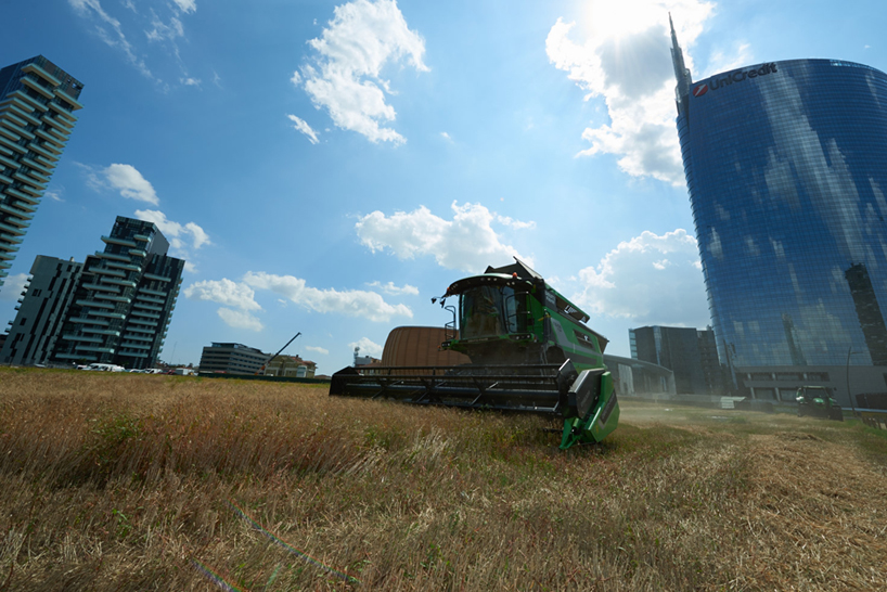 agnes denes wheatfield milan fondazione nicola trussardi designboom