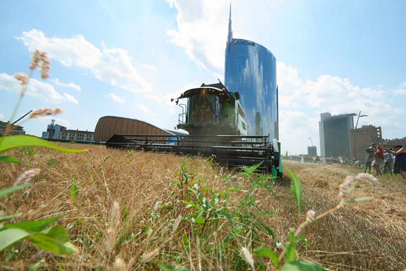 agnes denes wheatfield milan fondazione nicola trussardi designboom