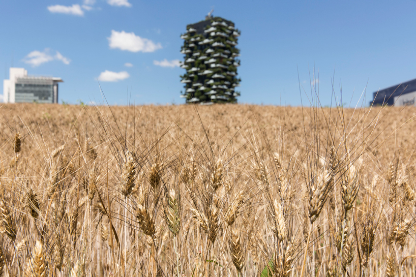 fondazione nicola trussardi wheatfield agnes denes milano designboom 