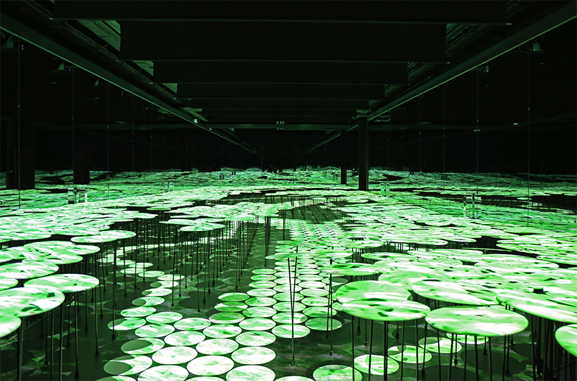 interview-with-teamlab-director-japan-pavilion-digital-installation-designboom-009