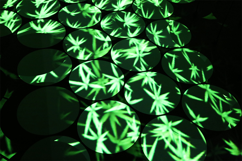 interview-with-teamlab-director-japan-pavilion-digital-installation-designboom-010