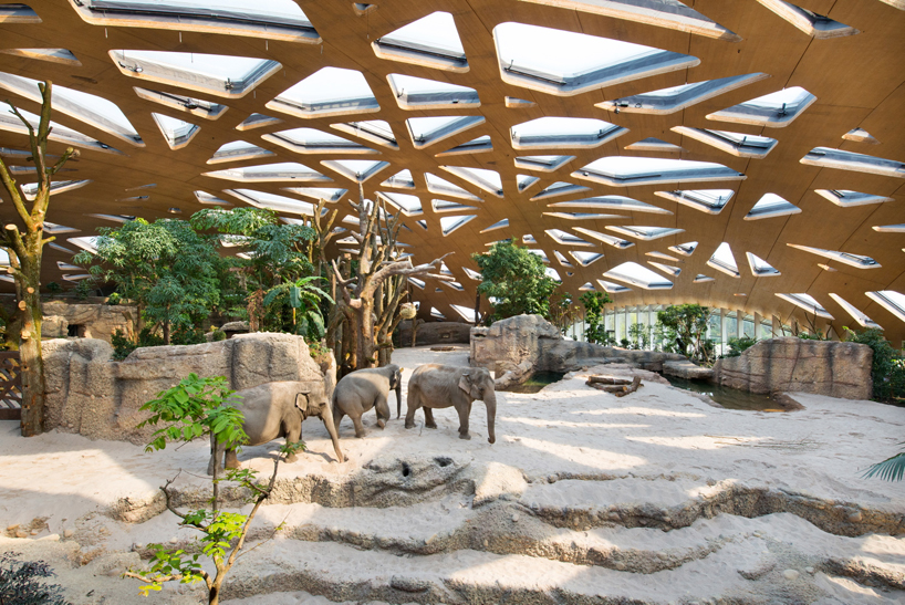 markus-schietsch-architekten-zurich-zoo-kaeng-krachan-elephant-park-02