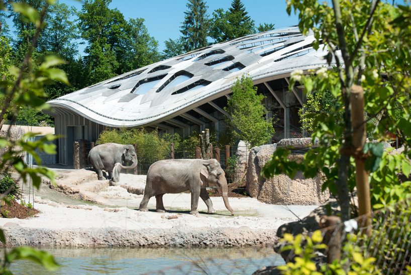 markus-schietsch-architekten-zurich-zoo-kaeng-krachan-elephant-park-02