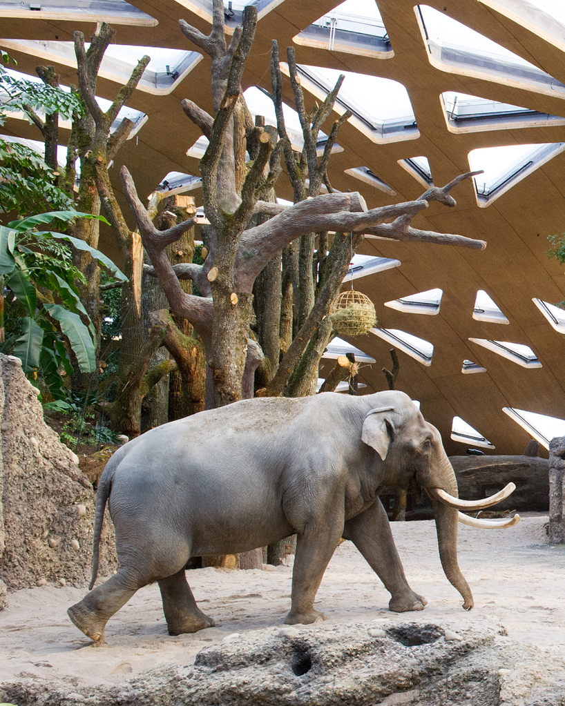 markus-schietsch-architekten-zurich-zoo-kaeng-krachan-elephant-park-02
