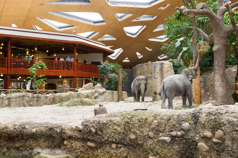 markus-schietsch-architekten-zurich-zoo-kaeng-krachan-elephant-park-02