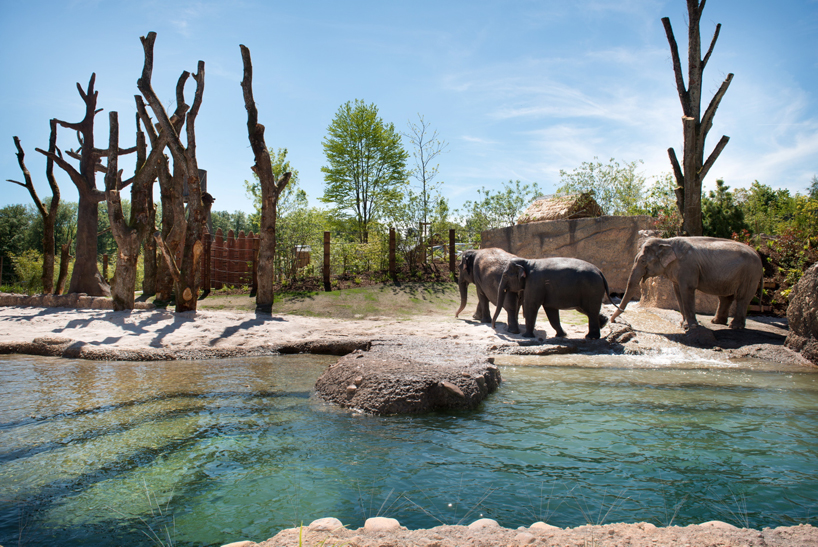 markus-schietsch-architekten-zurich-zoo-kaeng-krachan-elephant-park-02