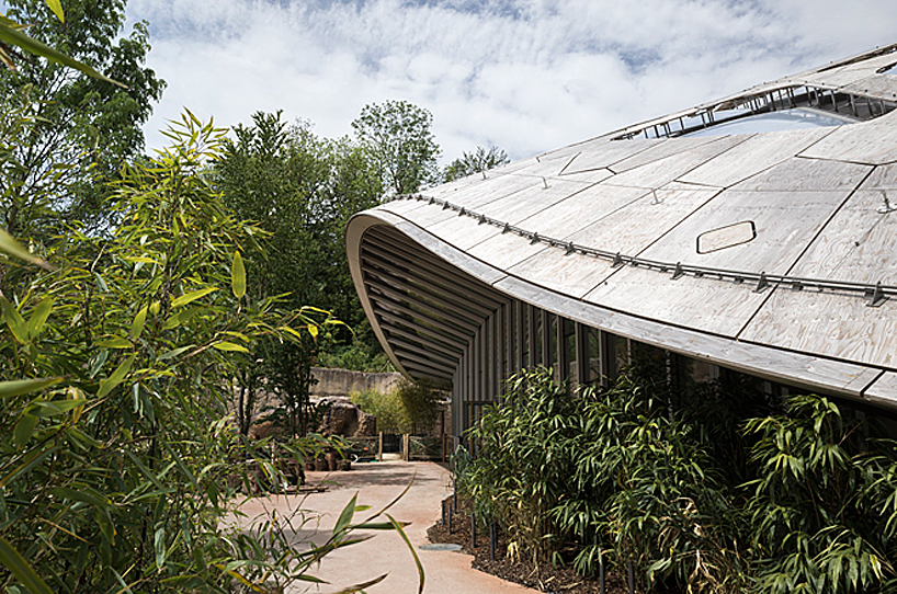 markus-schietsch-architekten-zurich-zoo-kaeng-krachan-elephant-park-02