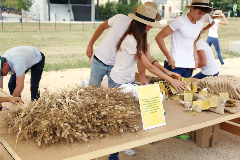 wheatfield-in-porta-nuova-milan_designboom_001