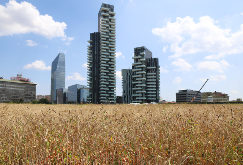 wheatfield-in-porta-nuova-milan_designboom_005