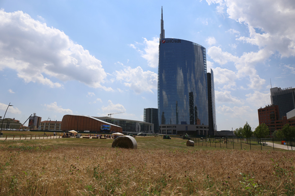 agnes denes wheatfield milan fondazione nicola trussardi designboom