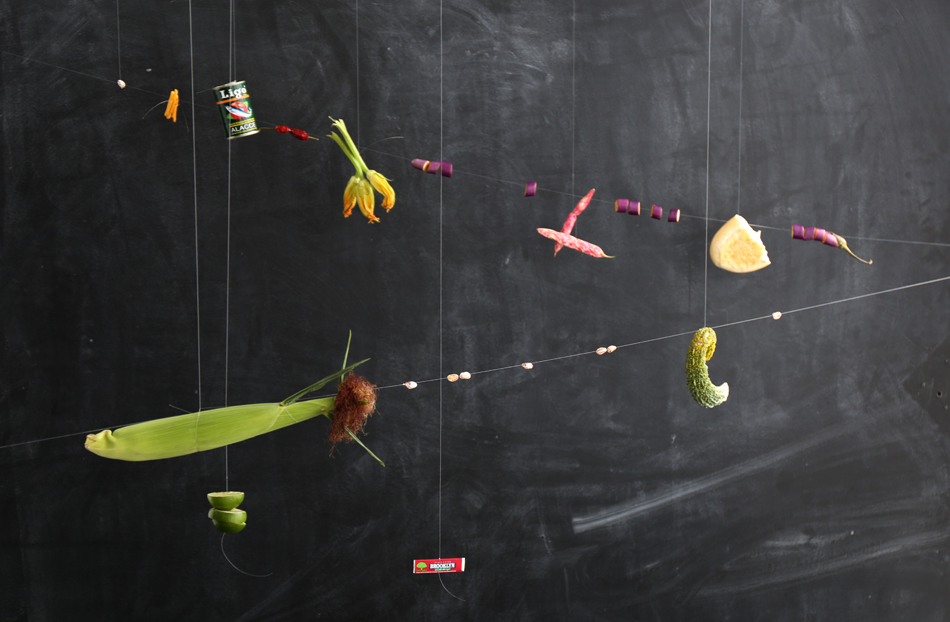 exotic-veneto-fabrica-designboom-06