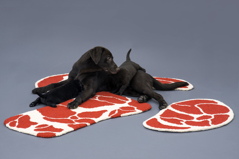 ma yansong serves up three meat-shaped rugs for labradors