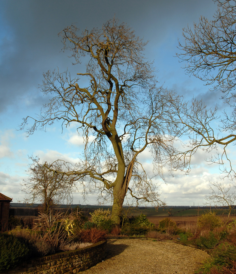 gallery fumi max lamb london design festival designboom