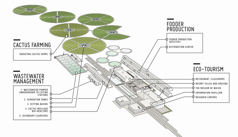 ali chen caliornia drought grassroots cactivism designboom