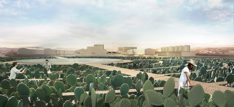 ali chen caliornia drought grassroots cactivism designboom