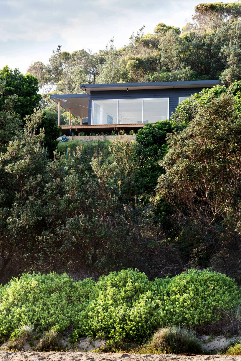 bourne + blue architecture seal rocks house 9 designboom