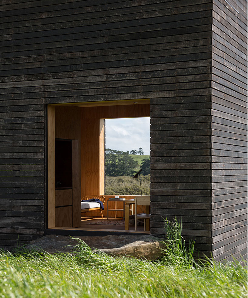 cheshire-architects-eyrie-kaiwaka-new-zealand-designboom-02