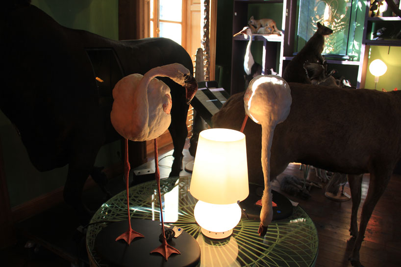 fontanaarte-paris-design-week-deyrolle-paris-designboom-02