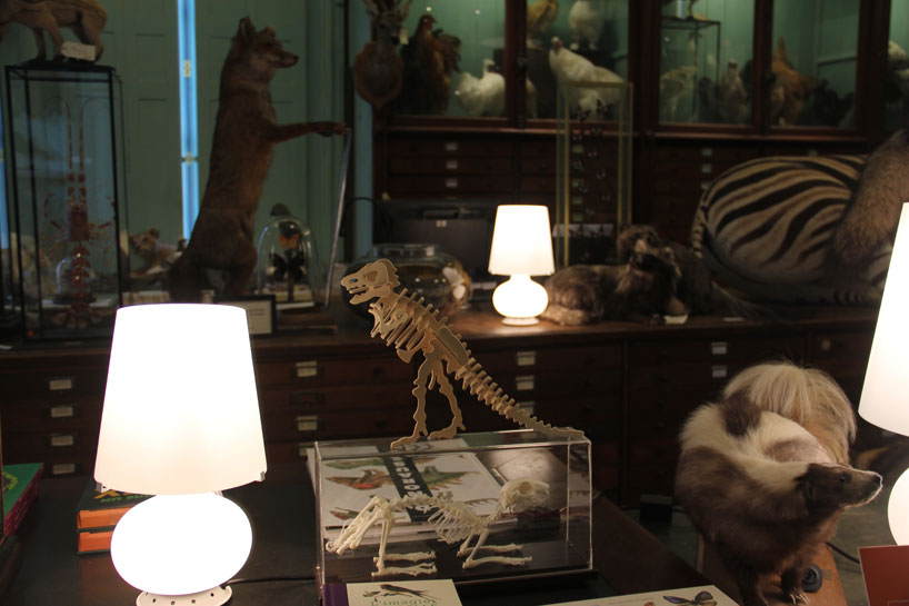 fontanaarte-paris-design-week-deyrolle-paris-designboom-02