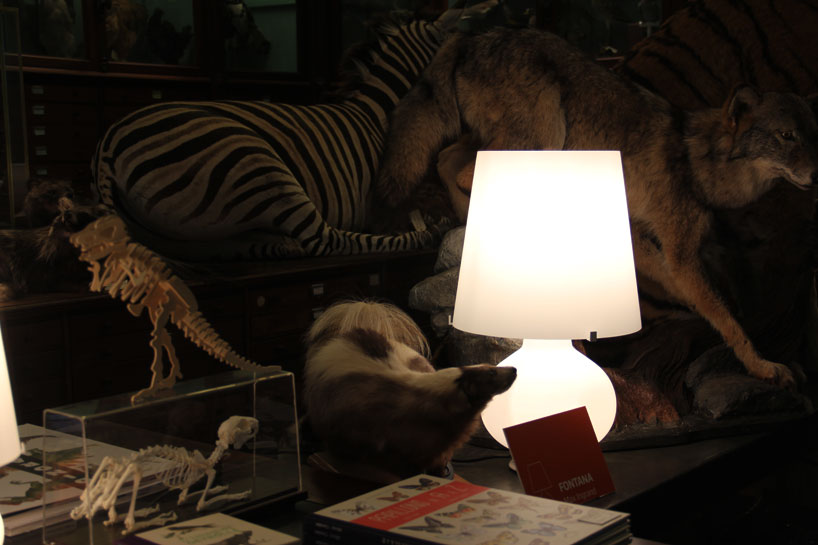 fontanaarte-paris-design-week-deyrolle-paris-designboom-02