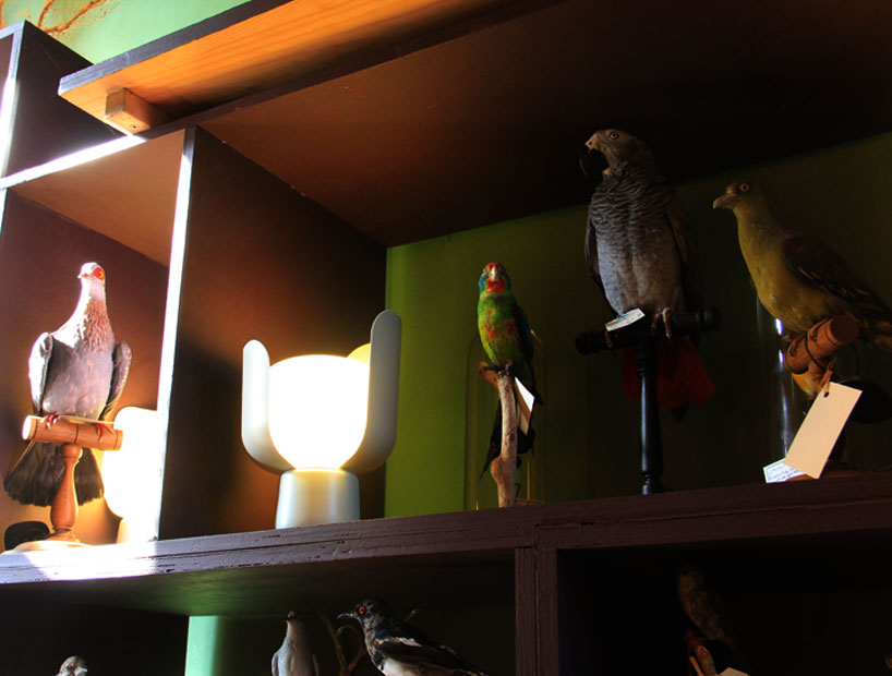 fontanaarte-paris-design-week-deyrolle-paris-designboom-02