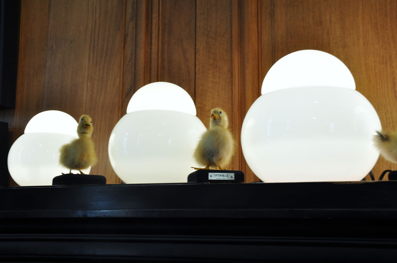 fontanaarte-paris-design-week-deyrolle-paris-designboom-02