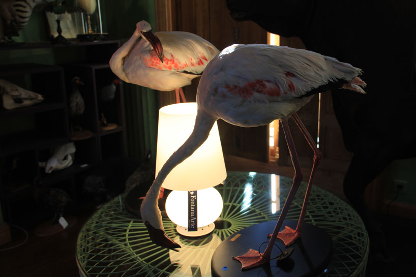 fontanaarte-paris-design-week-deyrolle-paris-designboom-02