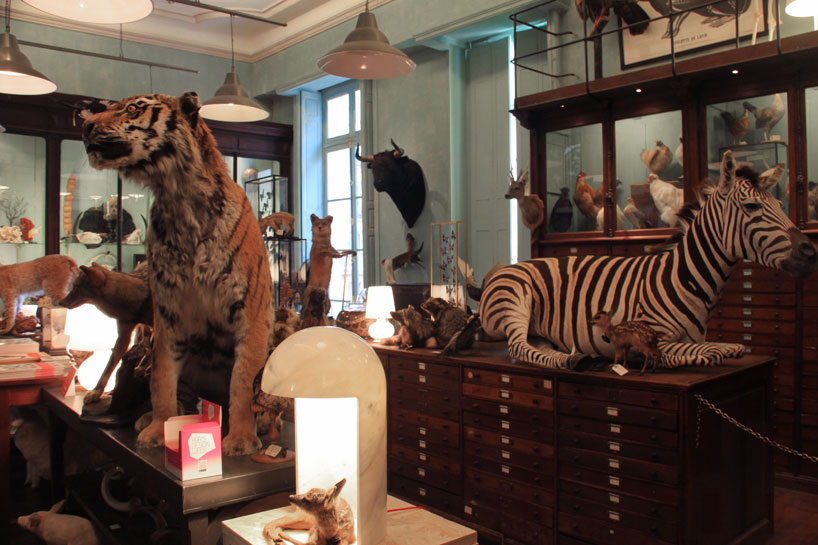 fontanaarte-paris-design-week-deyrolle-paris-designboom-02